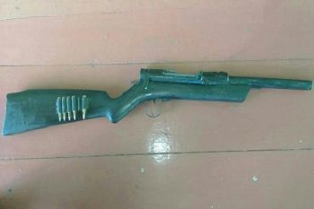 Satgas Yonif 431/SSP gelar ikrar penyerahan senjata