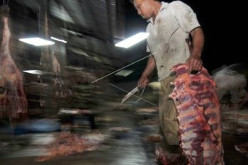 Delapan Pembuang Limbah RPH Tertangkap Tangan
