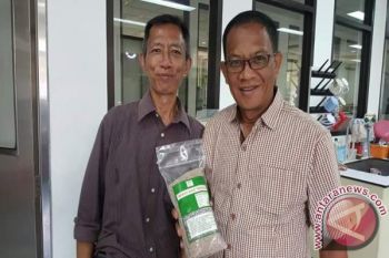 BPPT Jalin Kerjasama Penerapan Teknologi Sagu Lingga