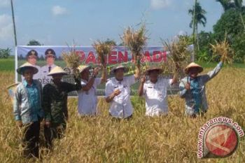 Ketahanan Pangan Jadi Prioritas di Kotawaringin Timur