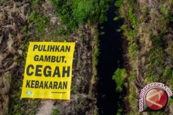 BRG : moratorium sawit dan tambang berdampak positif 