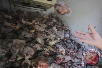 Stok Daging Sapi Beku Selama Ramadan