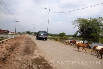 Sidoarjo Tidak Siagakan Petugas Khsusus Perbaikan Jalan