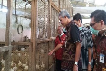 Pasokan Kebutuhan Pokok di Jateng Mencukupi hingga Lebaran