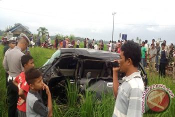Sibinuang Tabrak Mobil di Pariaman Selatan