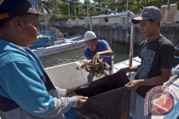 SAMPAH PANTAI LOSARI