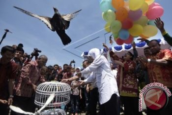 Bupati Jayapura alihfungsikan lokalisasi jadi tempat wisata 