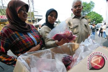 Distributor jual daging sapi Rp80.000 per kilogram