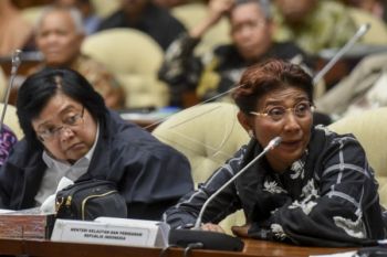 Menteri Susi: bantu serap hasil tangkapan nelayan