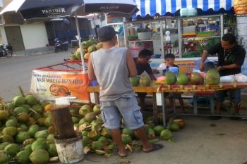 Omzet penjualan es kelapa muda meningkat  