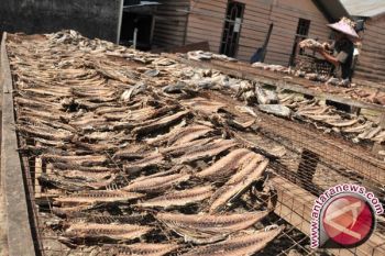 Pengolahan "Keumamah" hadapi terbatas bahan baku