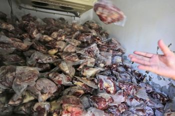 Daging Beku Impor Diminati Konsumen Bandarlampung