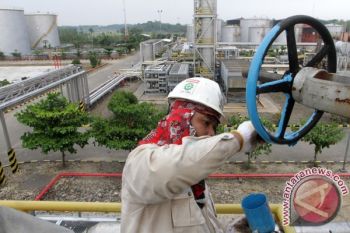 Harga Minyak Dunia Jatuh Karena Kekhawatiran Brexit Meningkat