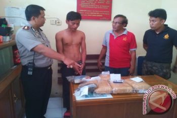 Polres Tanah Datar Tangkap DPO Pemilik 5 Kg Ganja