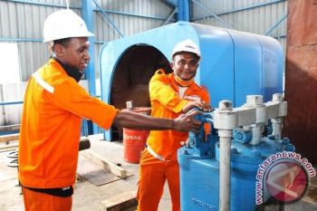 PLN dorong Orang Asli Papua operasikan PLTU