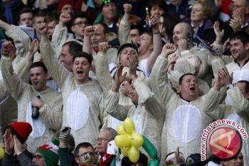 Pendukung Wales Rayakan Keberhasilan Timnya Lolos ke Knockout Euro 2016