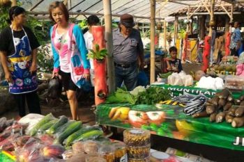 "Pasar Rebo" Pertemukan Petani Organik dengan Pembeli