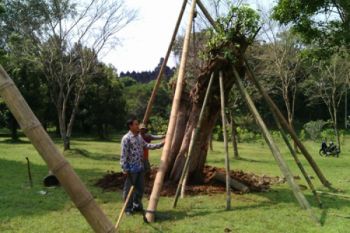 BKB: Zona I Borobudur jadi Tempat Wisata Edukasi Botani