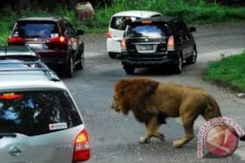 Pemprov Bentuk Perusahaan Pengelola Jateng Park