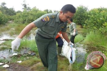 BKSDA Telusuri Sindikat Penyelundupan Trenggiling Di Kotim 