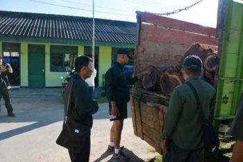 Korem gagalkan pembalakan liar di Register 19  