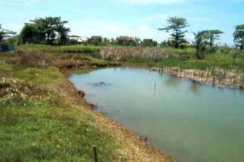 DTPH imbau petani padi manfaatkan air payau 