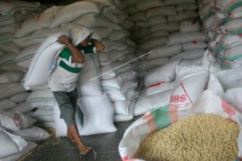 Stok Kedelai Impor di Kudus Cukup