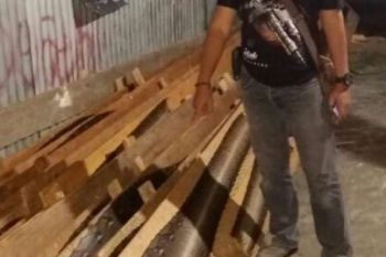 Lakukan Perburuan, 265 Lembar Kulit Ular Phyton Disita Polres Pelalawan