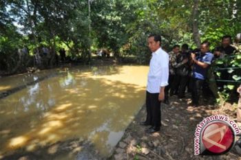 BNPB: Presiden Perlu Turun Tangan Atasi Bencana