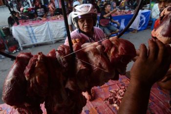 Daging Komoditas yang Kontroversial 