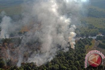 BMKG Pantau 82 Titik Panas di Sumatera