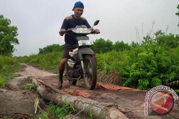 Pemkab Ini Terus Berupaya Benahi Jalan Usaha Pertanian