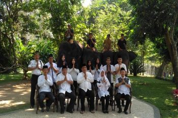 Lembah hijau tambah wahana gajah tunggang