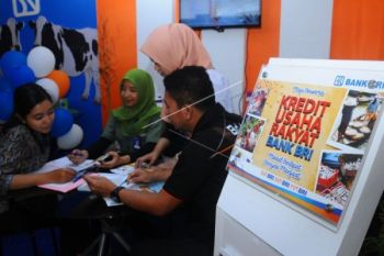 Realisasi KUR di Jateng Capai Rp10,01 Triliun