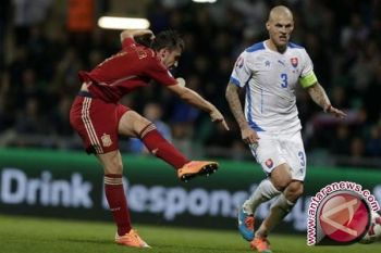 Fenerbahce Datangkan Martin Skrtel Dari Liverpool