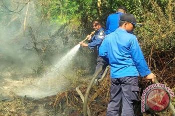 Masyarakat Diminta Antisipasi Kebakaran Hutan 