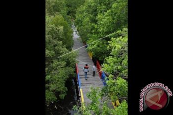 Tim Bareskrim Polri usut perusahaan penyerobot hutan