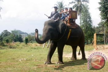 Pengunjung Lembah Hijau minati wahana gajah tunggang  