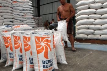 Pengadaan Beras Bulog Banyumas hampir Capai Prognosa 