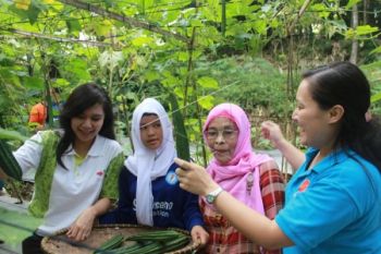 Tingkatkan Perekonomian, Kader PKK Diimbau Manfaatkan Pekarangan