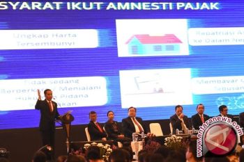 Artikel - Melepas Bayang Kegagalan Amnesti Pajak