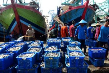 Potensi Sektor Perikanan Cilacap Diharapkan Lebih Dikembangkan