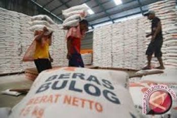 Dua Wilayah Bakal Dijadikan Sentra Beras Unggulan