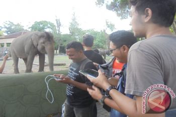 Gl Zoo dikunjungi ribuan wisatawan pada Libur Imlek