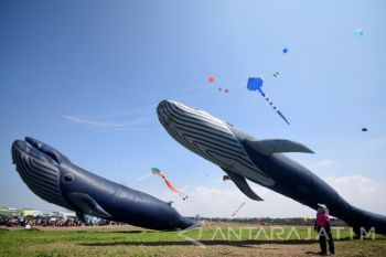 Festival Layang-layang Internasional 2016