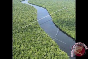 Wow! Ternyata tanah gambut bisa mempercantik kulit