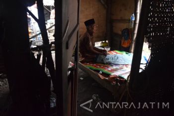 Tinggal di Kandang Ayam