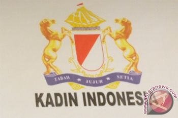 Kadin Minta Kebijakan Izin Investasi Diperbaiki