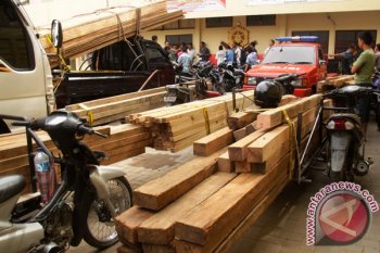 President calls for stopping illegal logging in Jambi