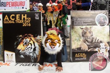 Kampanye Stop Perburuan Harimau